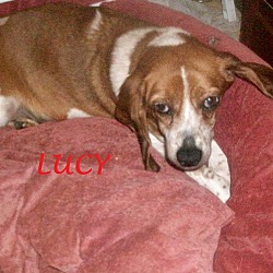 Thumbnail photo of LUCY #2