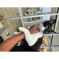 Photo of LUCIFUR