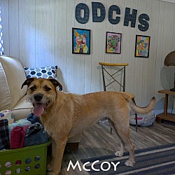 Thumbnail photo of McCoy #4