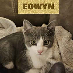 Photo of Eowyn