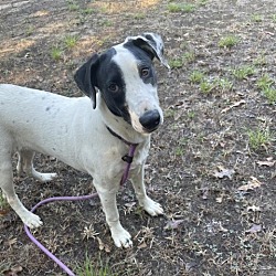 Photo of Livvie