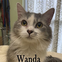 Photo of Wanda