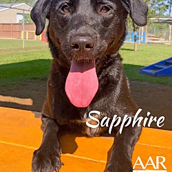 Thumbnail photo of Sapphire #4