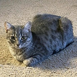 Thumbnail photo of Graycee #2