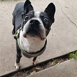 Photo of Turbo
