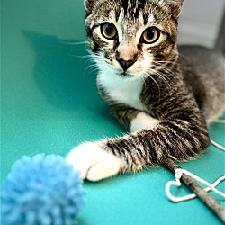 Photo of Garvin