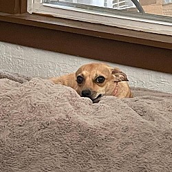 Photo of KiKI