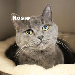 Photo of Rosie 231023