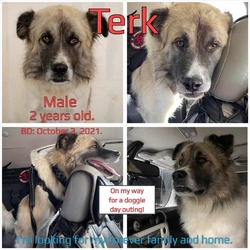 Thumbnail photo of Terk #1
