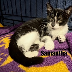 Thumbnail photo of Samatha #1