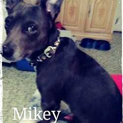 Photo of Mikey