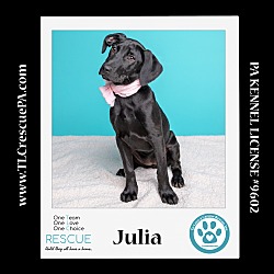 Photo of Julia (Party of Five pups) 040624