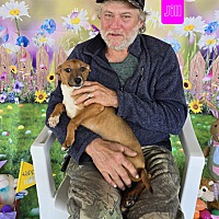 adopt a pet