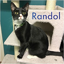Thumbnail photo of Randol #2