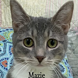 Photo of Mazie
