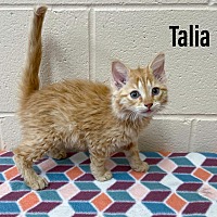 Photo of Talia