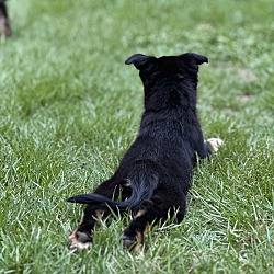 Thumbnail photo of June Carter #4