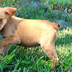 Thumbnail photo of Sally O'Malley ~ meet me! ~ #3