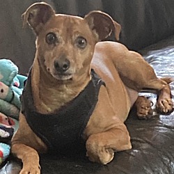 Photo of Freddy