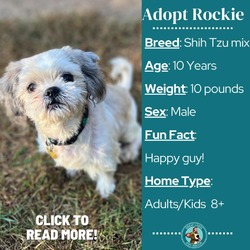 Thumbnail photo of Rockie #1