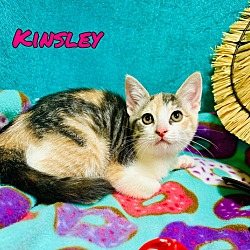 Thumbnail photo of Kinsley #2