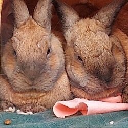 Thumbnail photo of Ted #2