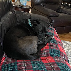 Photo of Millie