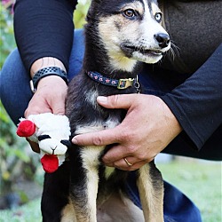 Photo of Bonnie
