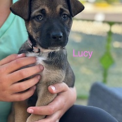 Thumbnail photo of Lucy La #4