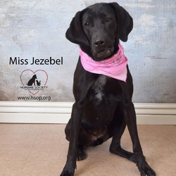 Thumbnail photo of Miss. Jezebel #3