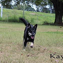 Thumbnail photo of Kaya #1