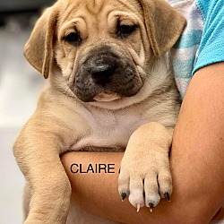 Photo of Claire
