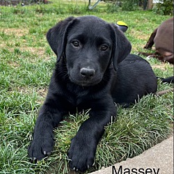 Photo of Massey