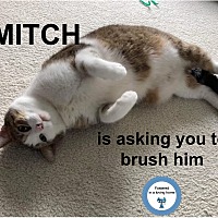 Photo of Mitch