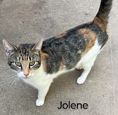 Photo of jolene