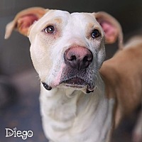 Photo of Diego