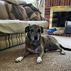 Photo of Lulubelle