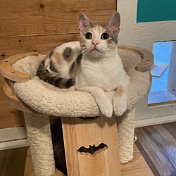 Photo of Luna