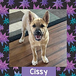 Thumbnail photo of Cissy #4