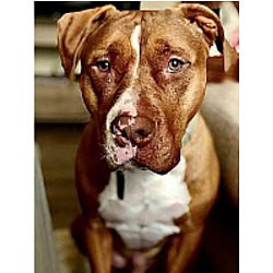 Thumbnail photo of Mattix #3