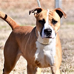 Photo of DEJA