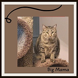 Thumbnail photo of RBunkle & Big Mama #2