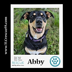 Thumbnail photo of Abby 110423 #2