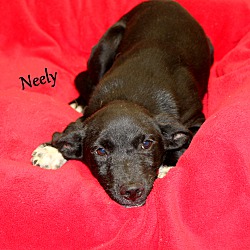 Thumbnail photo of Neely ~ meet me! #2