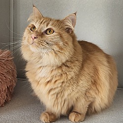 Photo of Missy