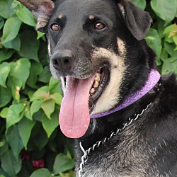 Photo of Pippa von Pirna