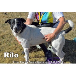 Photo of RILO