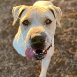 Photo of Lacie CM