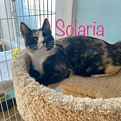 Photo of Solaria