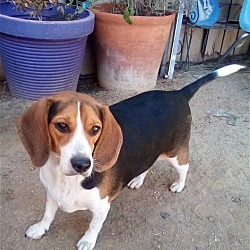 Photo of Sundance